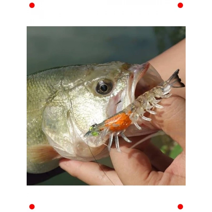 3 Adet Gerçekçi Silikon Karides Balık Yemi - LRF Spin