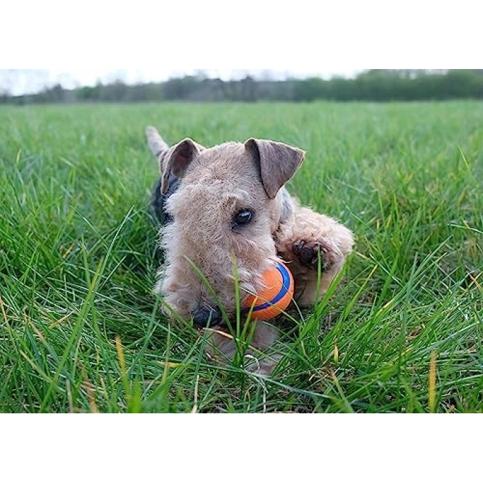 3 Adet Medium Boy Chuckit! Ultra Ball, Dayanıklı Kauçuk