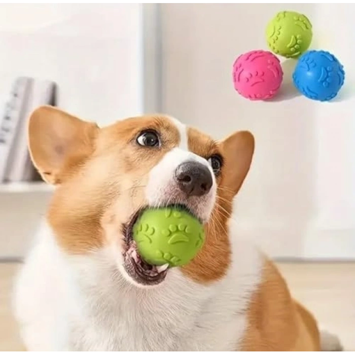 3 Adet Pati Desenli Küçük Boy Köpek Isırma Topu - Eğlenceli Oyun