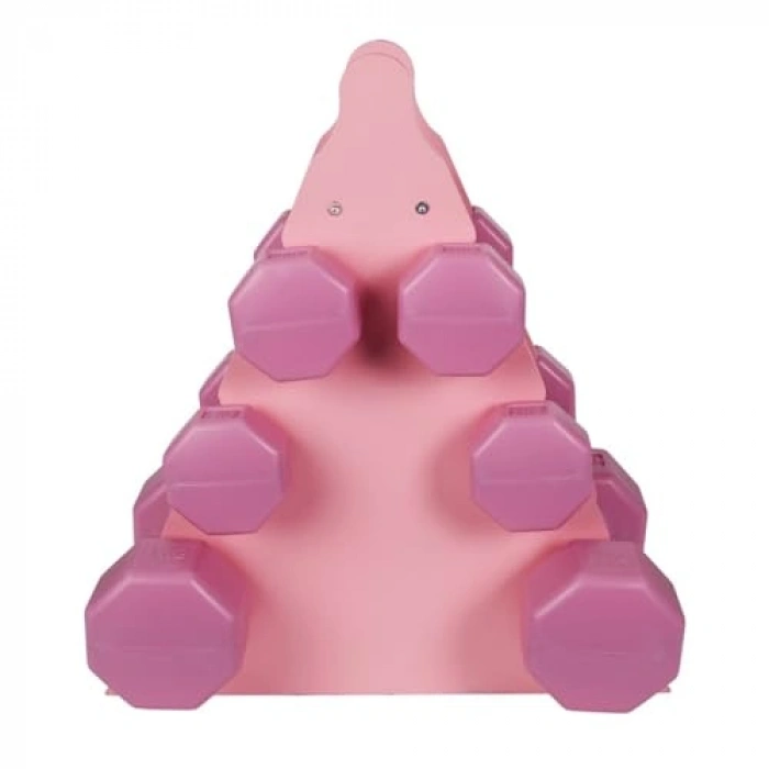 3 Adet Pembe Dambıl Seti ve Stand, 1-2-3 Kg Ağırlıklar