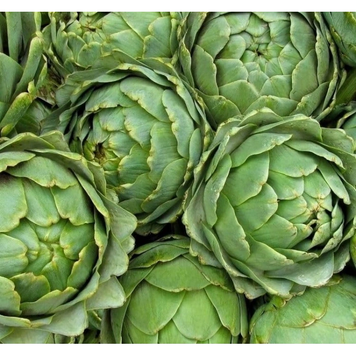 3 Gram Enginar Tohumu, Çoklu Paket