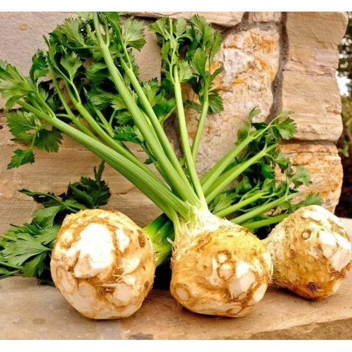 3 Gram Kereviz Tohumu, Çoklu Paket