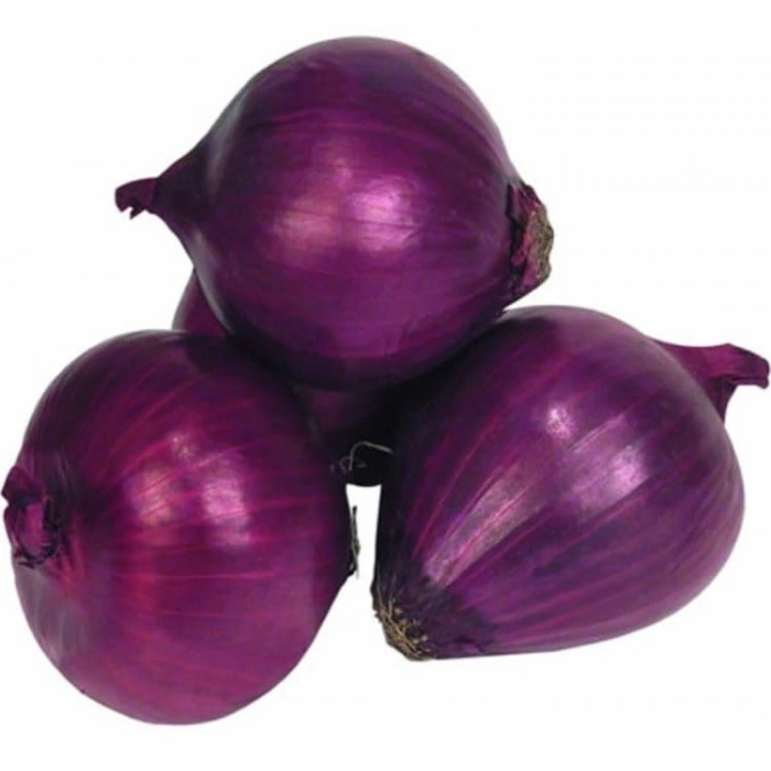 3 Gram Mor Soğan Tohumu, Çoklu Paket