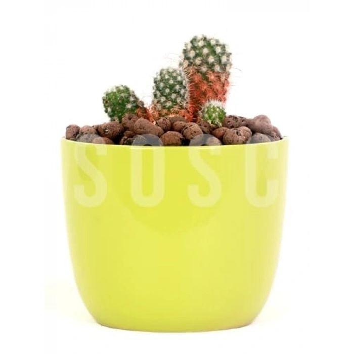 3 Lt İthal Kil Bilyesi, Bahçe ve Dekorasyon için