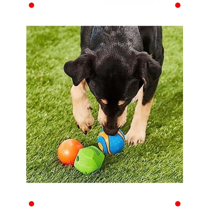 3lü Köpek Oyun Topu Seti - Çeşitli Boyut ve Özelliklerde
