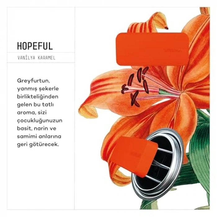 3lü Set Oto Kokusu - Vanilya ve Karamel Aromalı