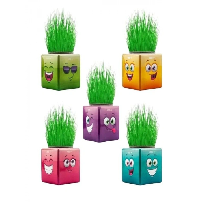 3 Tarafı Emojili Küp Çim Adamlar, 3 Adet Hediyelik Set