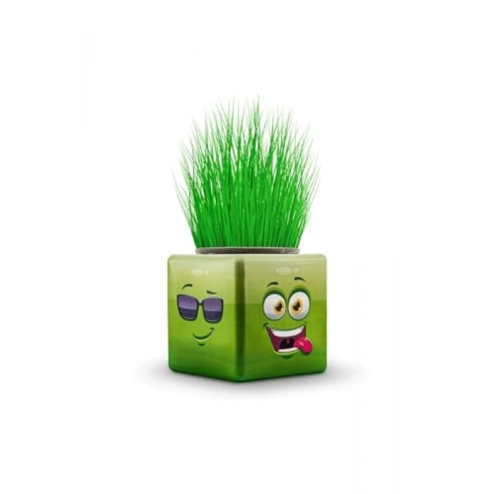 3 Tarafı Emojili Küp Çim Adamlar, 3 Adet Hediyelik Set