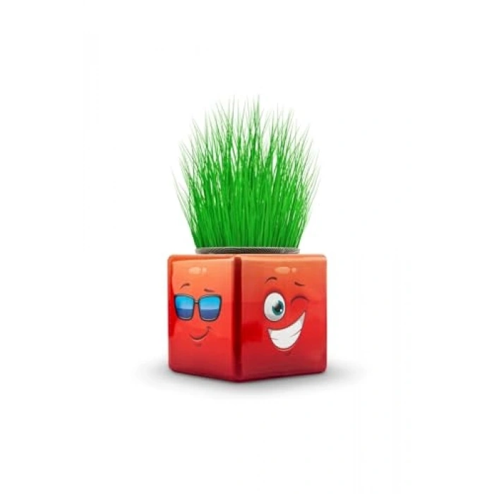 3 Tarafı Emojili Küp Çim Adamlar, 3 Adet Hediyelik Set