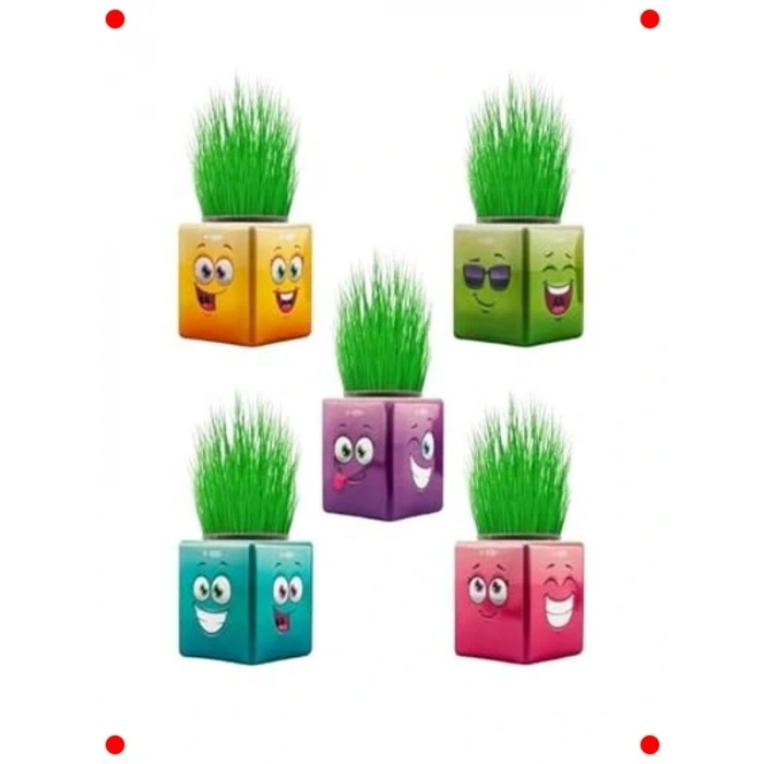 32li Renkli Küp Şekilli Çim Adam Seti