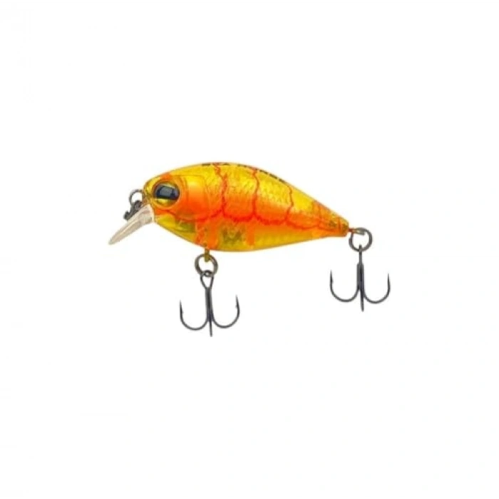 3.6 mm Kalınlığındaki Honey Shrimp, 3.8 Gr Ağırlığında