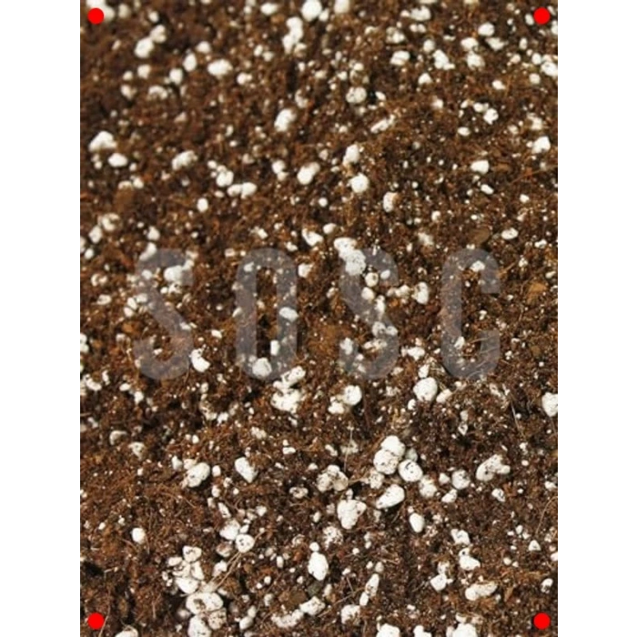3L Özel Saksı Harcı - Sphangum Torfu & Cocopeat & Perlit