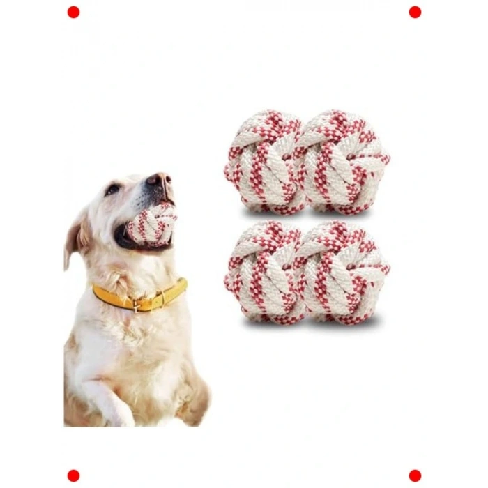4 Adet Köpek Oyun ve Eğitim Topu Seti