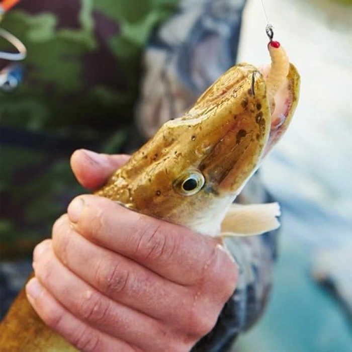 4 Renkli 100 Parça Yumuşak Silikon Olta Yem Seti