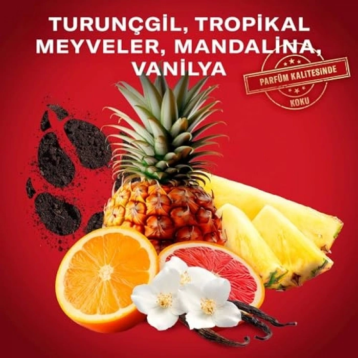 400 ml Duş Jeli ve Şampuan Seti, Old Spice