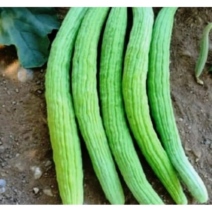 5 Gram Acur Tohumu, Çoklu Paket