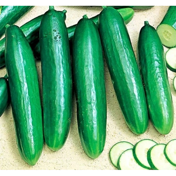 5 Gram Beith Alpha Salatalık Tohumu, Çoklu Paket