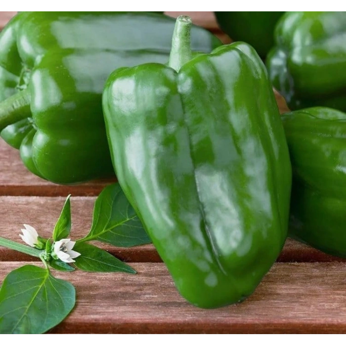 5 Gram Dolmalık Biber Antep Acı Tohumu, Çoklu Paket