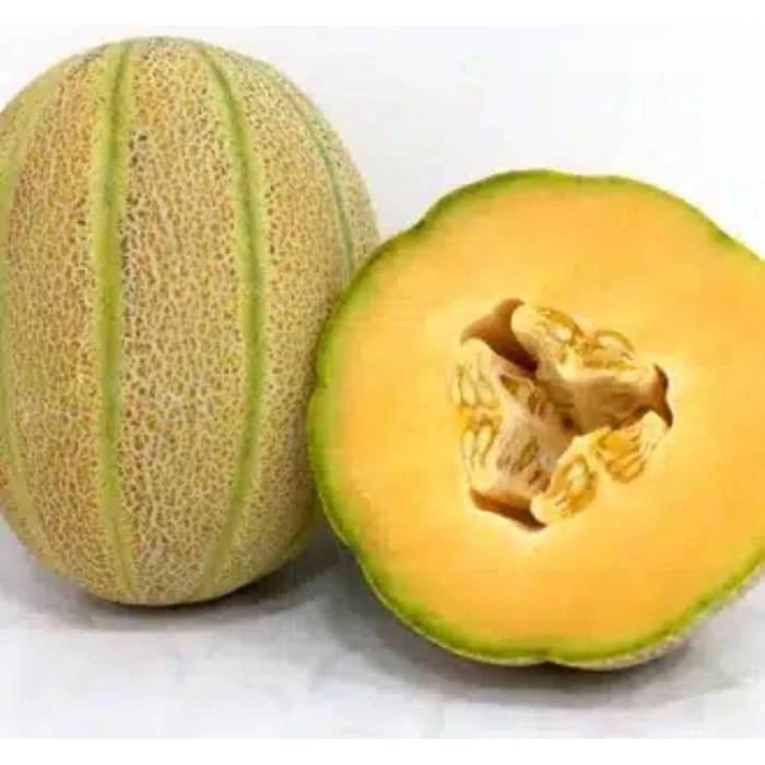 5 Gram Kavun Şeker Tohumu, Çoklu Paket