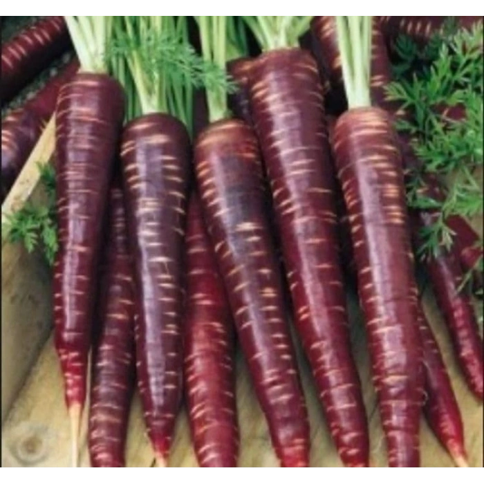 5 Gram Mor Havuç Tohumu, Çoklu Paket