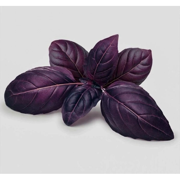 5 Gram Mor Reyhan Tohumu, Çoklu Paket