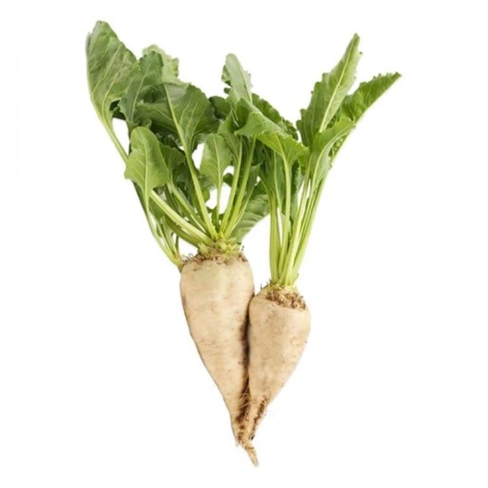 5 Gram Şeker Pancarı Tohumu, Çoklu Paket