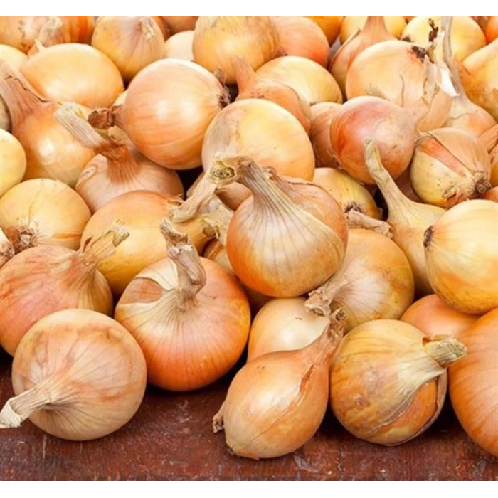 5 Gram Soğan Tohumu, Çoklu Paket