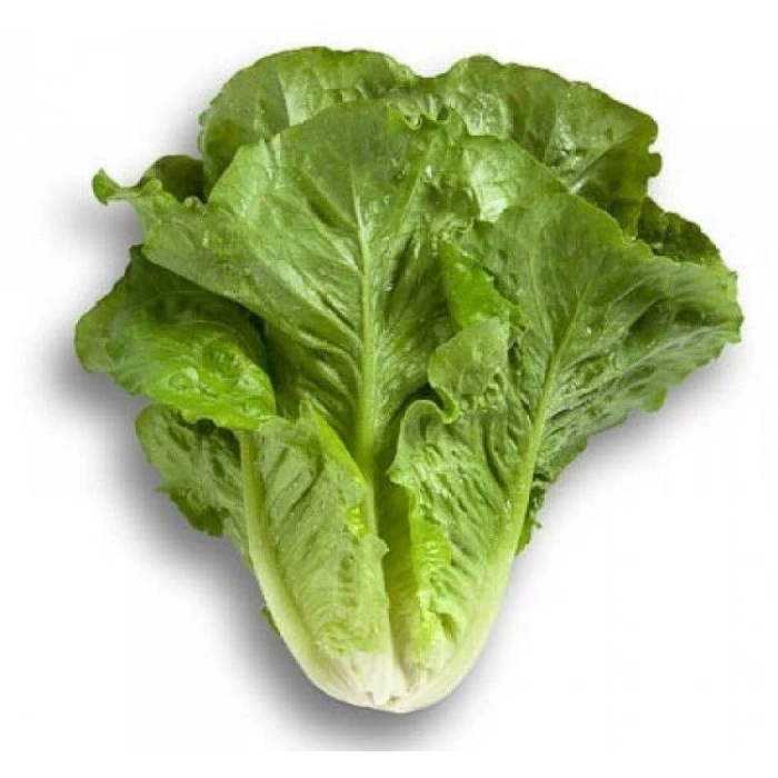 5 Gram Yedikule Marul Tohumu, Çoklu Paket