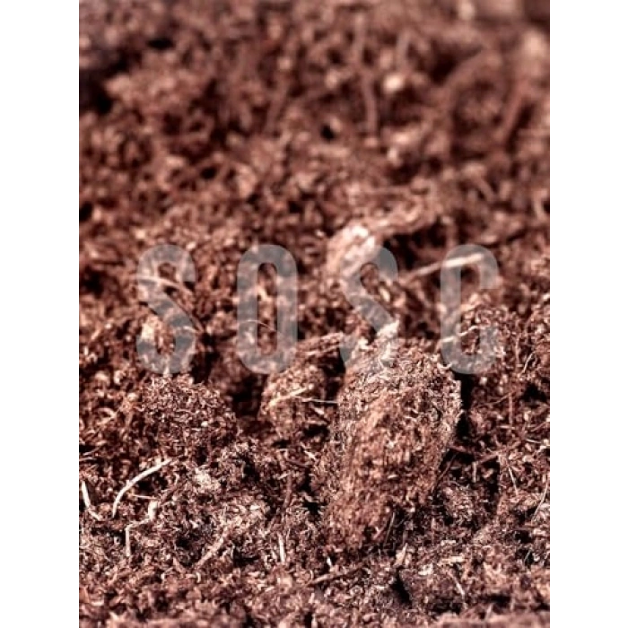 5 lt ithal sphagnum bitki yetiştirme torfu, kaliteli ortam sağlar