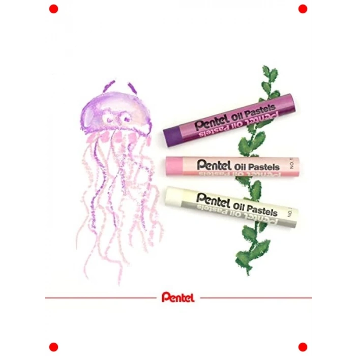 50li Yağlı Pastel Boya Seti - Çok Renkli Sanat Malzemesi