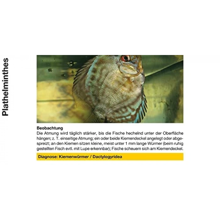 50 ml Mantar Giderici, Mycopur Markası