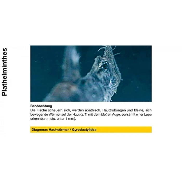 50 ml Mantar Giderici, Mycopur Markası