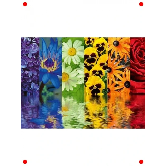 500 Parça Çiçek Yansıma Puzzle, Çok Renkli