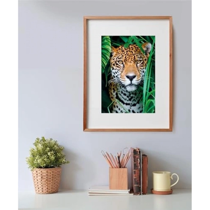 500 Parça Puzzle, Jaguar Temalı Eğlenceli Aktivite