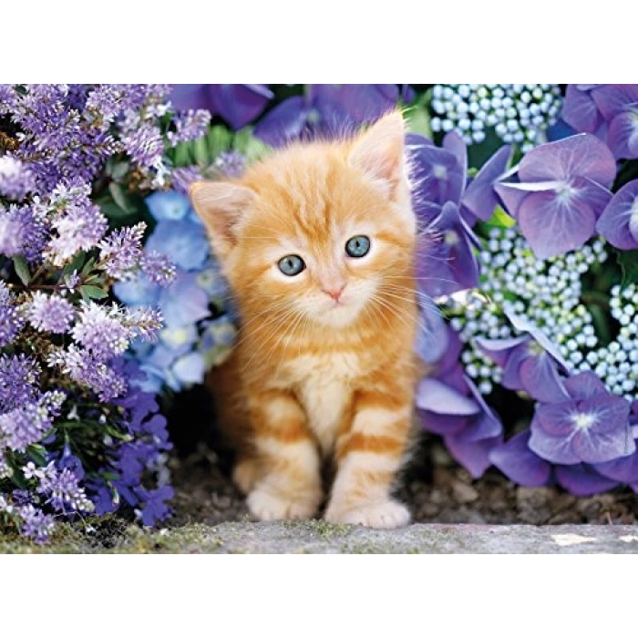 500 Parça Yetişkin Puzzle, Ginger Cat In Flowers Temalı