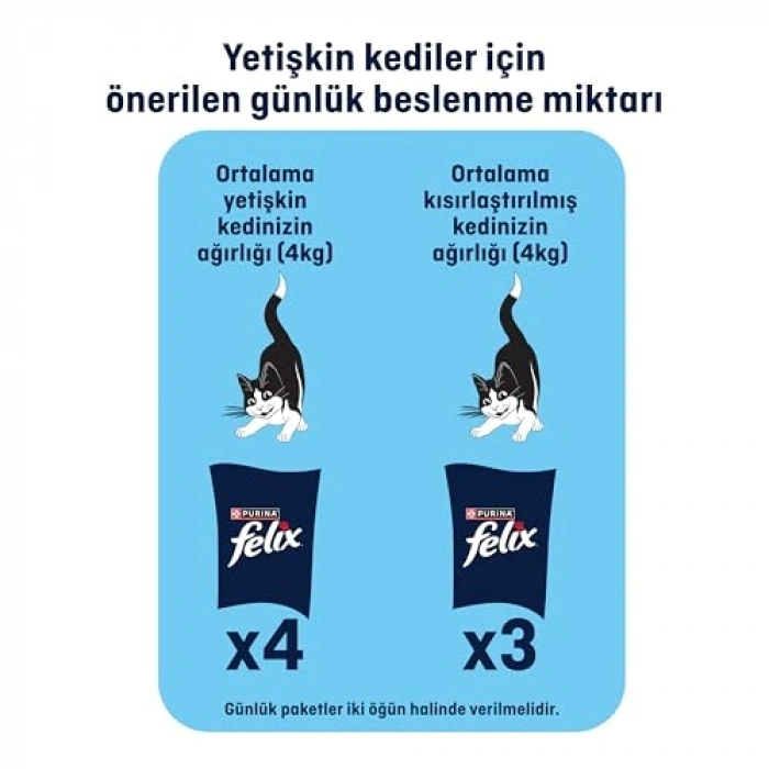 80 Gr Tekli Paket Lezzetli Ton Dilimleri