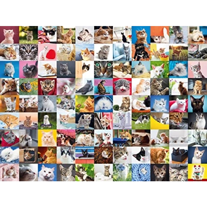 99 Kedi Temalı 1500 Parça Puzzle