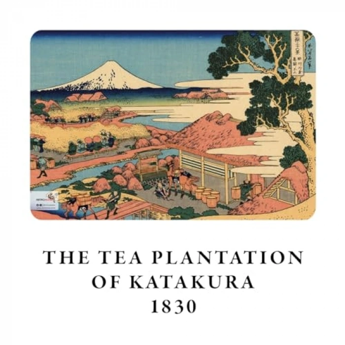 A5 Boyutunda 4lü Defter Seti, Mount Fuji II Teması, 256 Sayfa