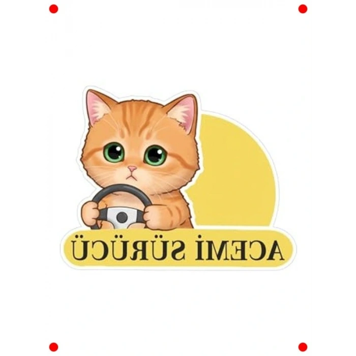 Acemi Sürücü Kedi Araba Etiketi - Çok Renkli