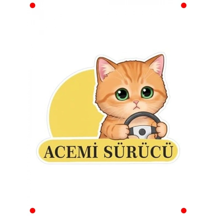 Acemi Sürücü Kedi Araba Etiketi - Çok Renkli