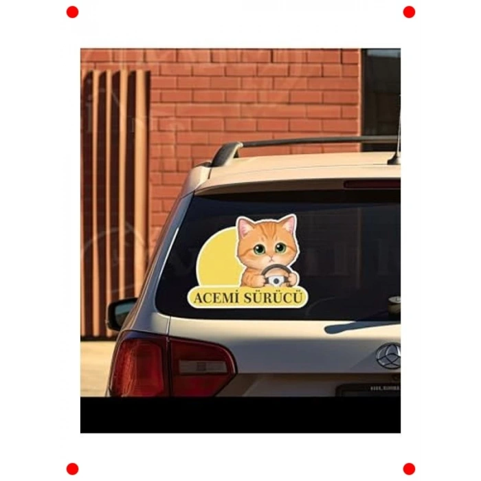 Acemi Sürücü Kedi Araba Etiketi - Çok Renkli