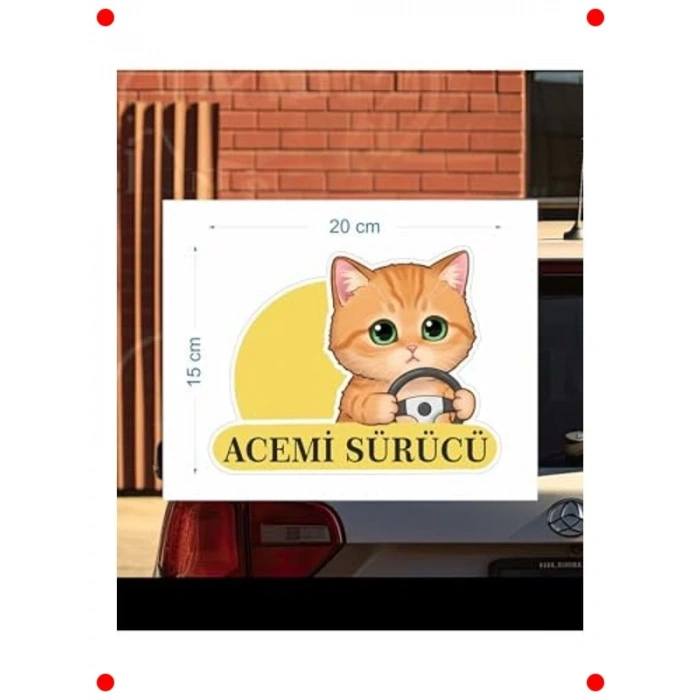 Acemi Sürücü Kedi Araba Etiketi - Çok Renkli