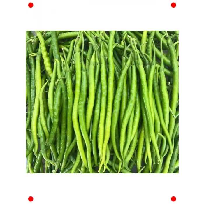 Acı Kıl Biber Tohumu - 5 gr - İnce & Keskin