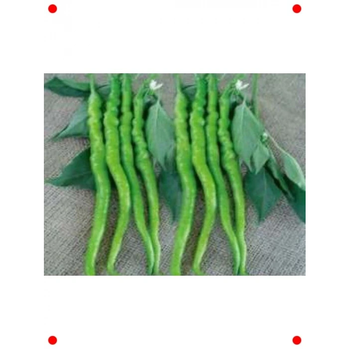 Acıkıl Fırat Biber Tohumu (10 gr)