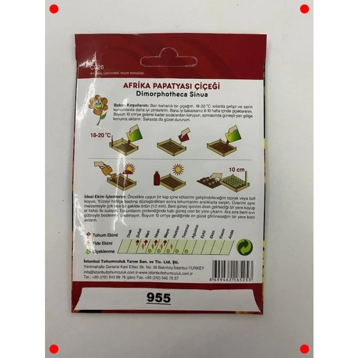 Afrika Papatyası Tohumu Karışık Renkler - 250 Adet