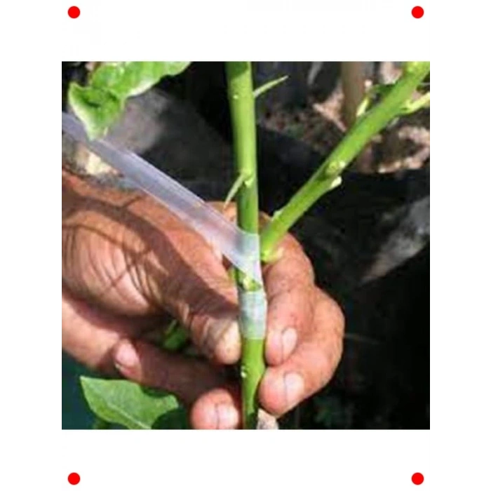 Ağaç ve Fidan Aşılama Bandı (3 Adet)