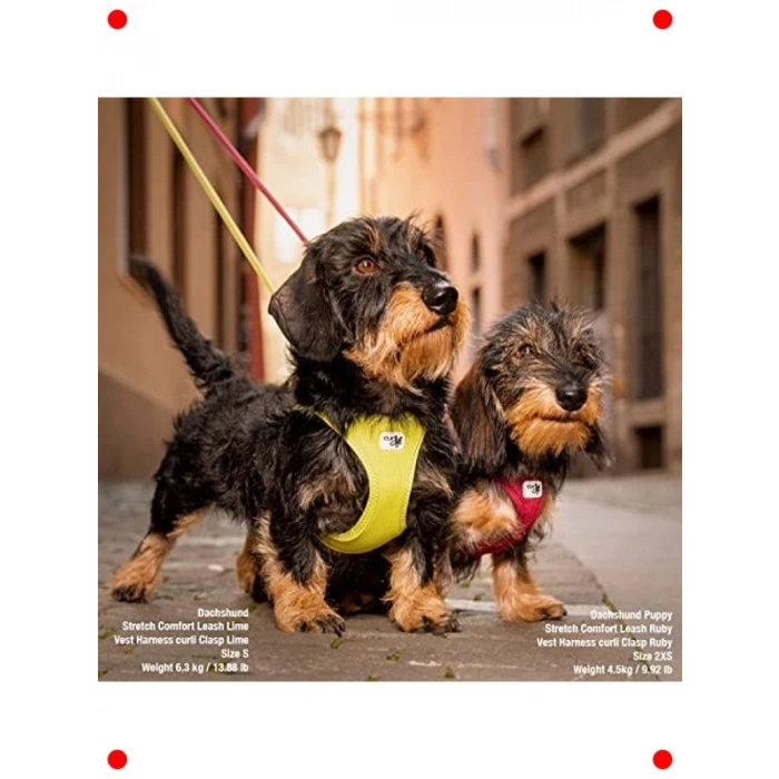 Air-Mesh Köpek Yelek Tasması L Beden