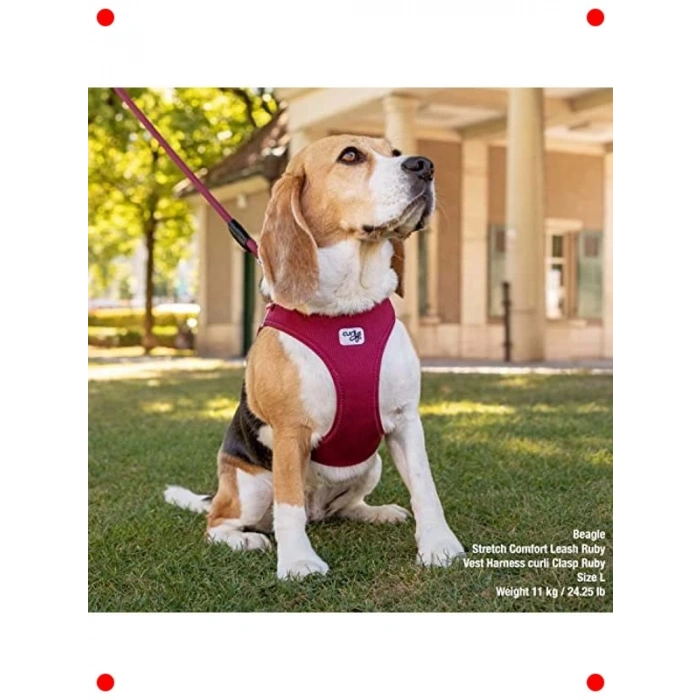 Air-Mesh Köpek Yelek Tasması L Beden