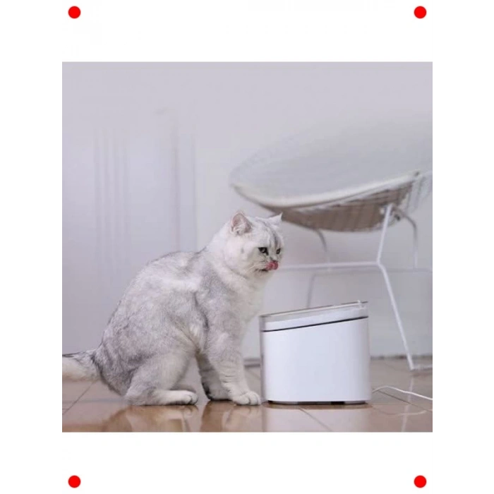 Akıllı Evcil Hayvan Su Çeşmesi, Filtreli, 2 L