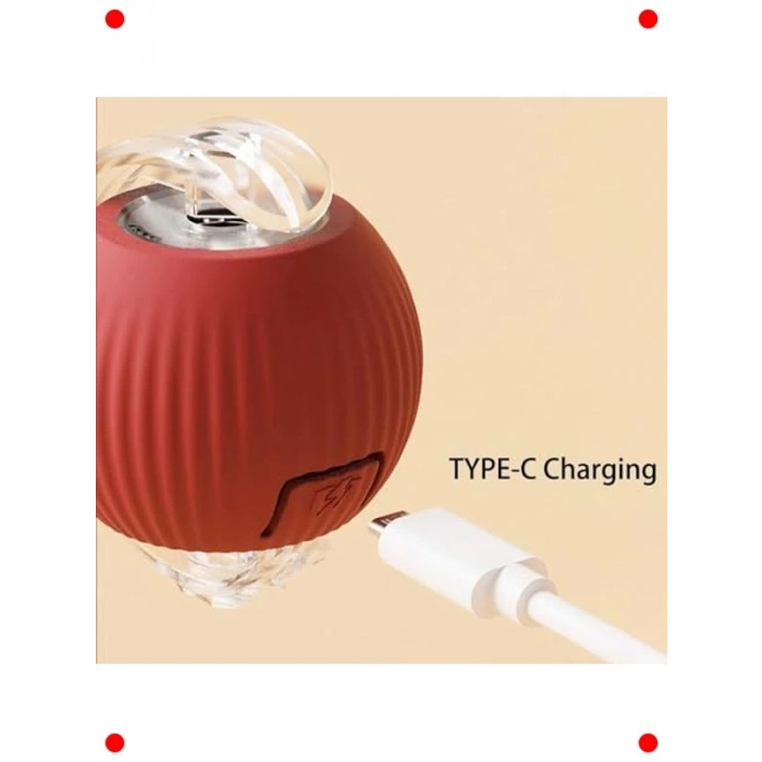 Akıllı İnteraktif Kedi Oyuncağı USB Şarjlı